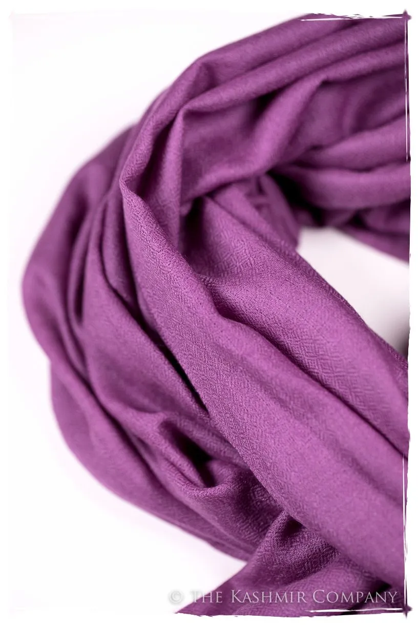 Bul Bul Radiant Orchid Kashmir Wool Scarf