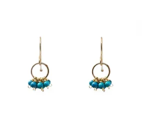 Turquoise E471 Earrings
